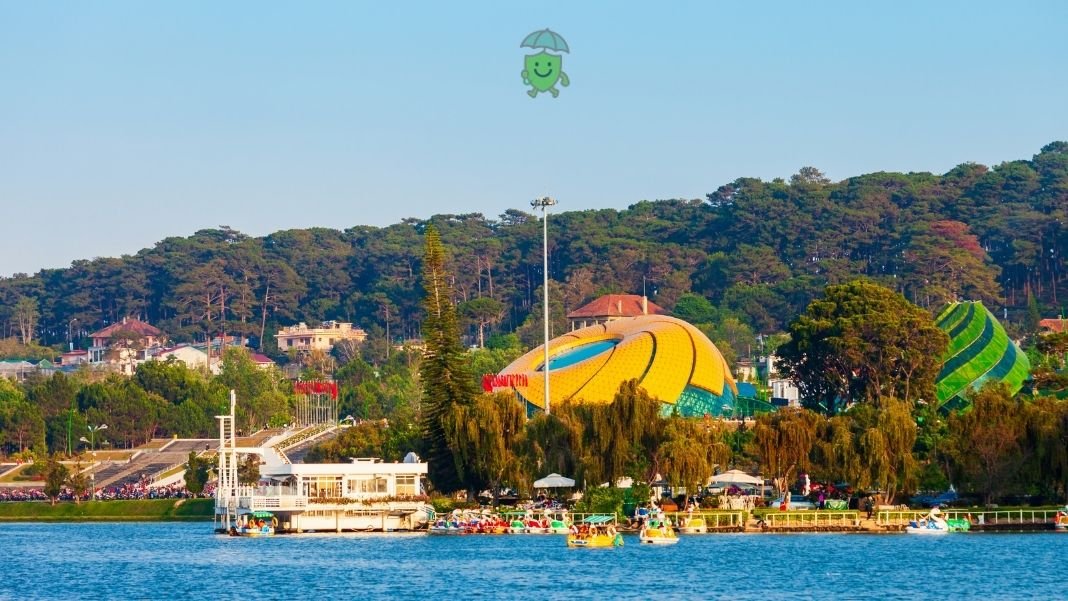 Bảo Hiểm Du Lịch Bị tai nạn trên đường đi đà lạt