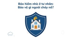 Minh họa ngôi nhà được bảo vệ bởi khiên bảo hiểm, biểu tượng chống trộm, mưa bão và vỡ ống nước - bảo hiểm nhà ở tư nhân bảo vệ ngoài cháy nổ