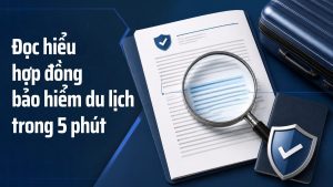 Minh họa đọc hợp đồng bảo hiểm du lịch bằng kính lúp, biểu tượng khiên bảo vệ và vali du lịch, tông xanh navy chuyên nghiệp