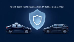 Hai chiếc ô tô (xe kinh doanh vận tải và xe cá nhân) cùng biểu tượng khiên bảo vệ, minh họa so sánh bảo hiểm TNDS bắt buộc giữa xe kinh doanh vận tải và xe cá nhân